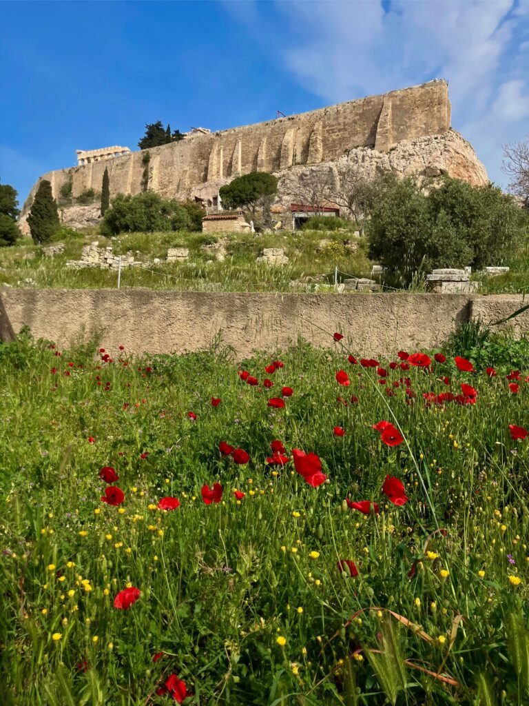 The Acropolis